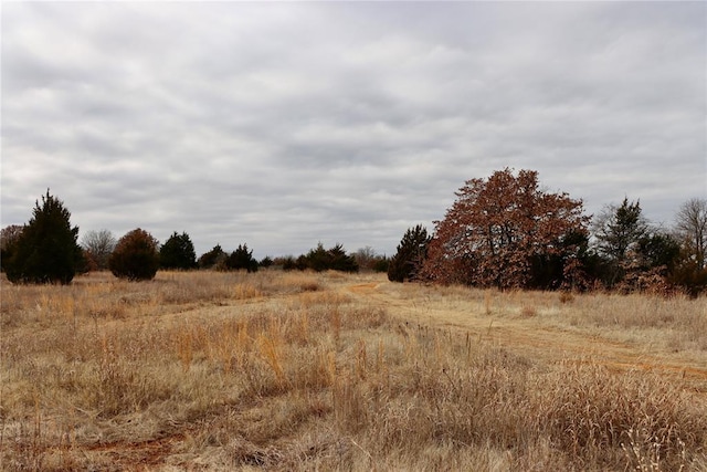 view of landscape with a rural view