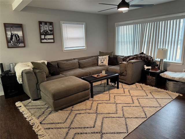 living room with hardwood / wood-style flooring and ceiling fan