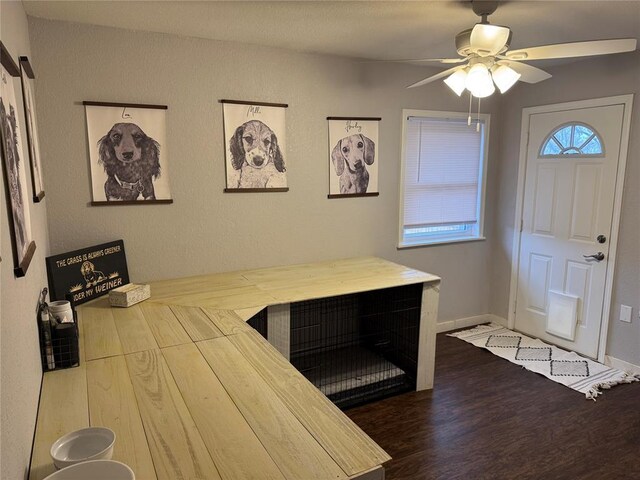 foyer entrance featuring dark hardwood / wood-style floors and ceiling fan