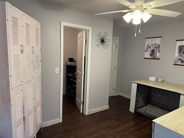 hallway featuring dark wood-type flooring