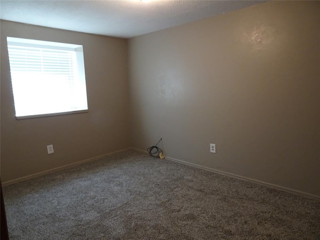 spare room with carpet