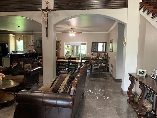 living room with ornamental molding and ceiling fan