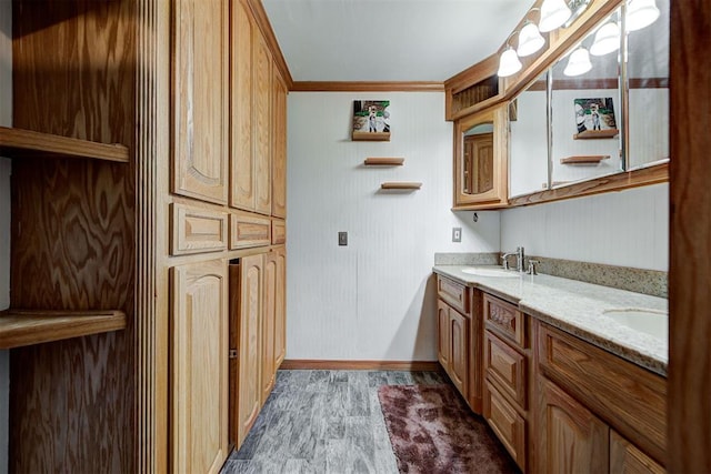 bathroom with vanity, crown molding, and wood-type flooring