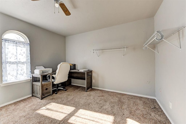 office area featuring ceiling fan, light colored carpet, and plenty of natural light