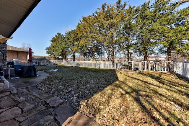 view of yard with a patio area