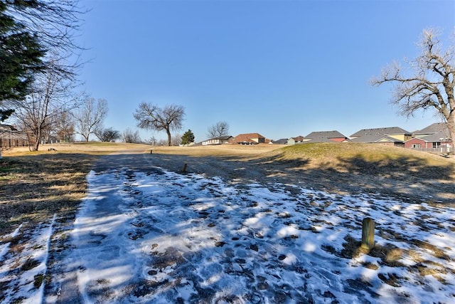 view of snowy yard