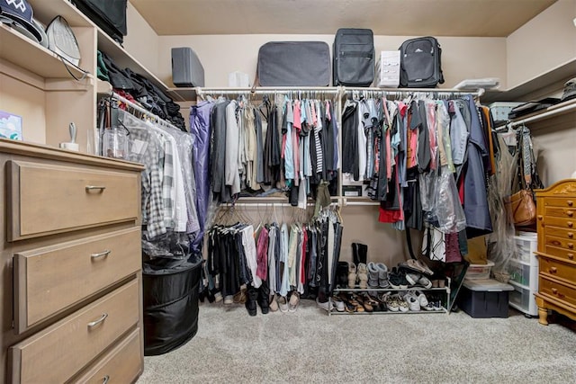spacious closet featuring carpet flooring