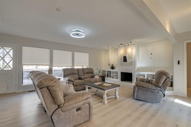 living room featuring rail lighting and light hardwood / wood-style floors