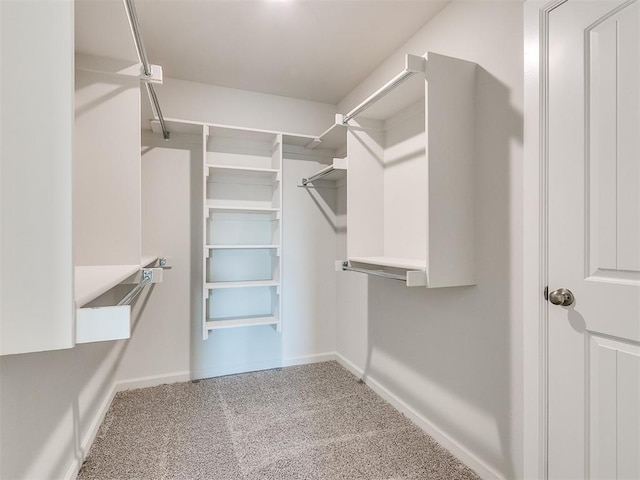 spacious closet featuring carpet