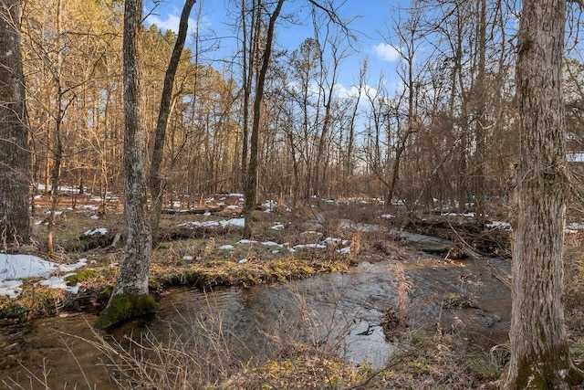 view of nature