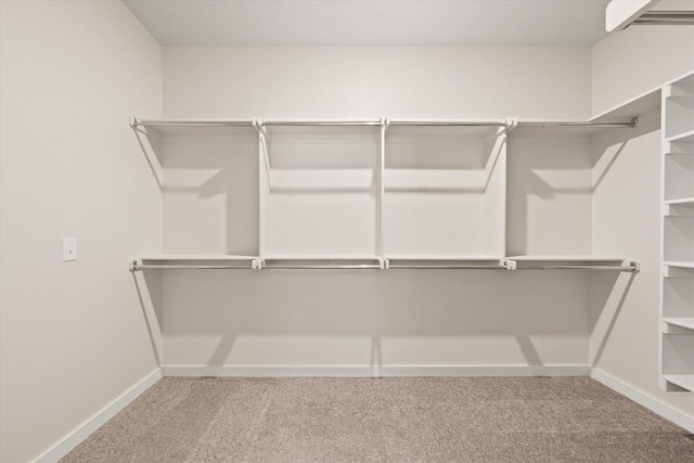 walk in closet with light colored carpet