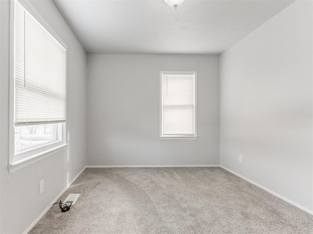 spare room with a wealth of natural light and light carpet