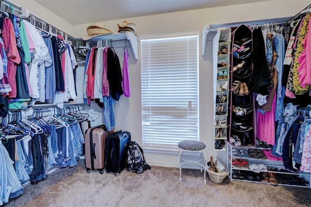 walk in closet with carpet