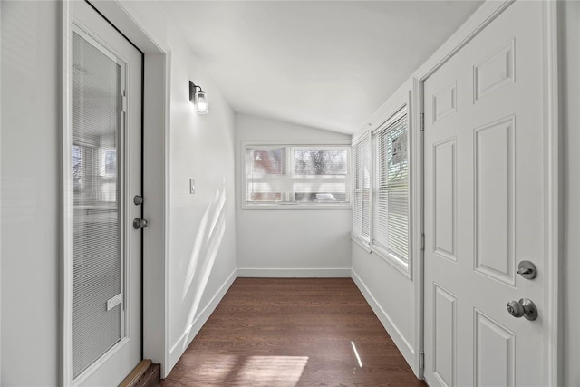 interior space with dark hardwood / wood-style floors and lofted ceiling