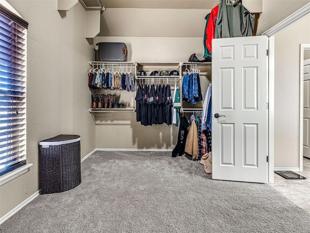 walk in closet featuring carpet