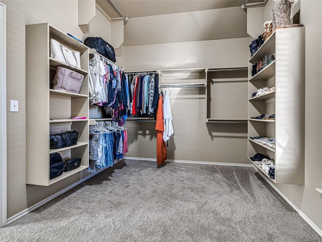 walk in closet featuring carpet floors