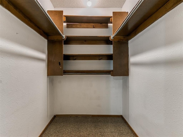 spacious closet with carpet