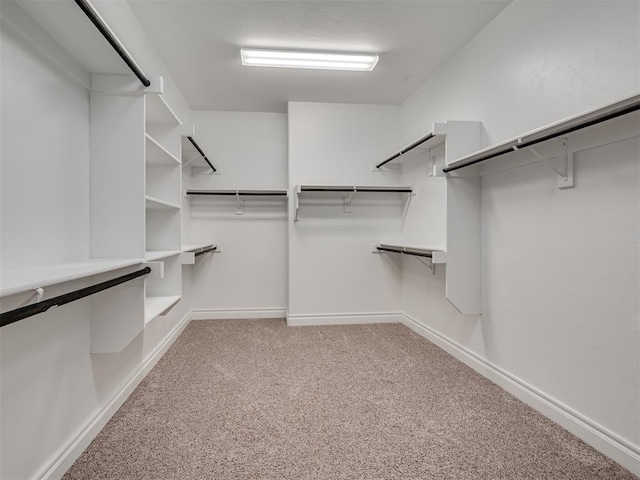 walk in closet with carpet floors