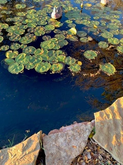 exterior space with a small pond