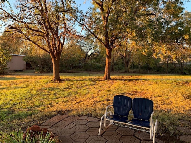 view of yard with a patio area