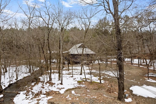 view of snowy landscape