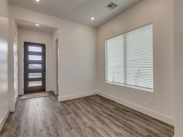 entryway featuring a healthy amount of sunlight and hardwood / wood-style floors