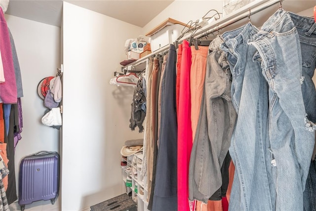 view of walk in closet