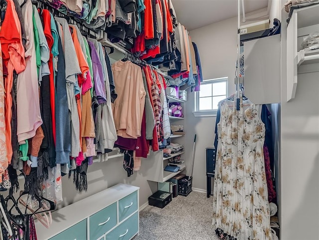 spacious closet with carpet floors