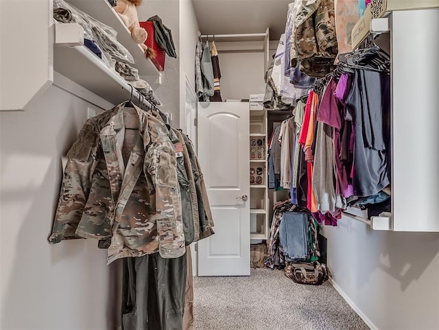 spacious closet with light colored carpet