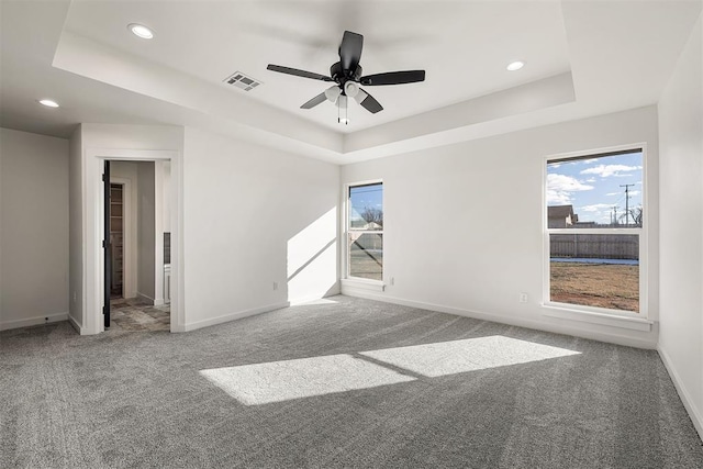 empty room featuring carpet flooring, a healthy amount of sunlight, and a raised ceiling