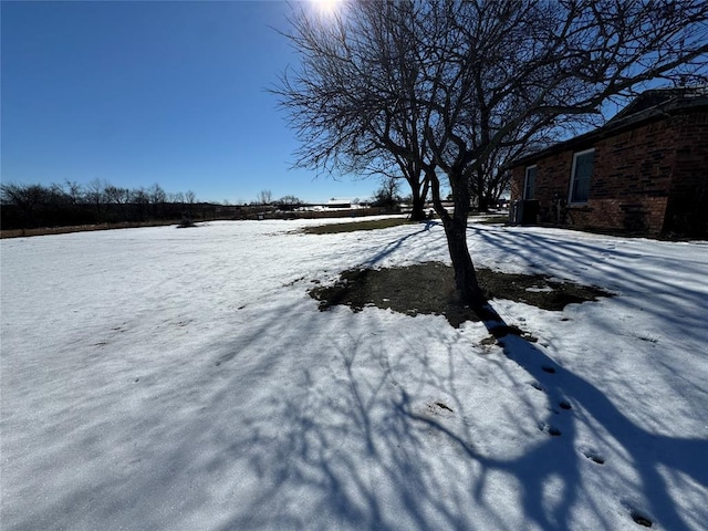 view of yard covered in snow