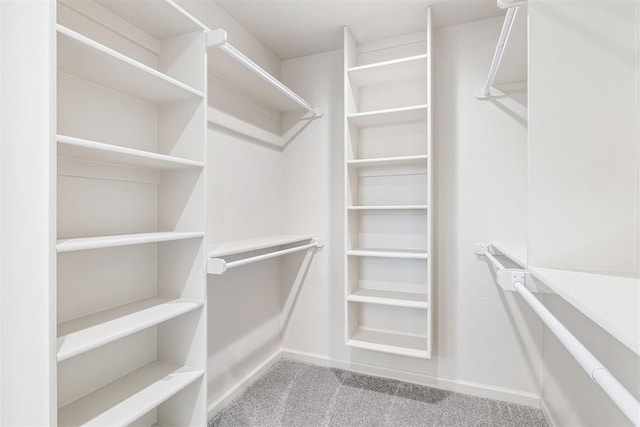 spacious closet featuring carpet flooring