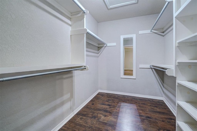 walk in closet featuring dark hardwood / wood-style flooring