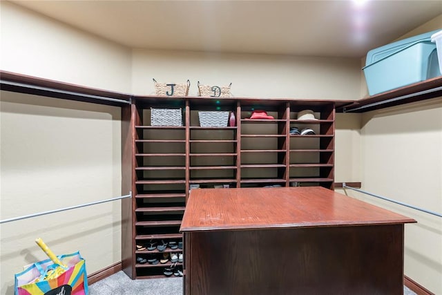 spacious closet with carpet