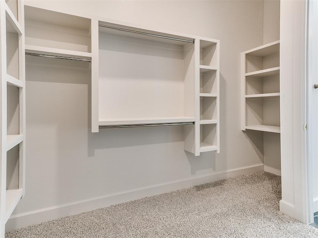 spacious closet with carpet flooring