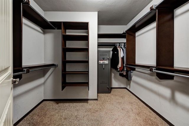 spacious closet with light colored carpet