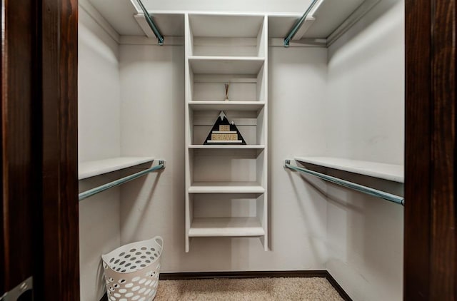 spacious closet featuring light colored carpet