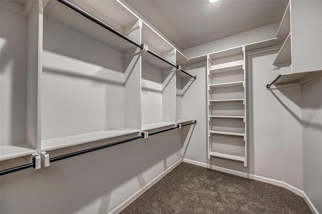 1127 Deer Rdg, Tuttle, OK 73089 - walk in closet featuring dark colored carpet