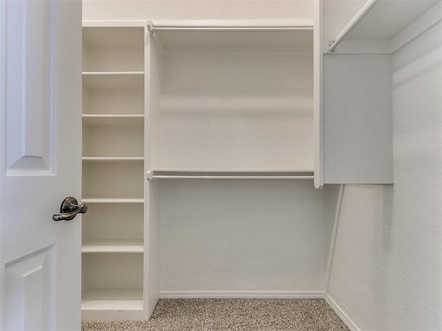 walk in closet featuring carpet floors