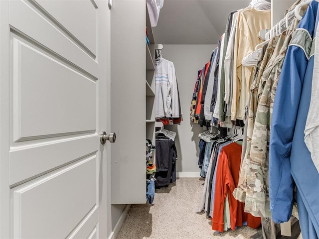 view of spacious closet