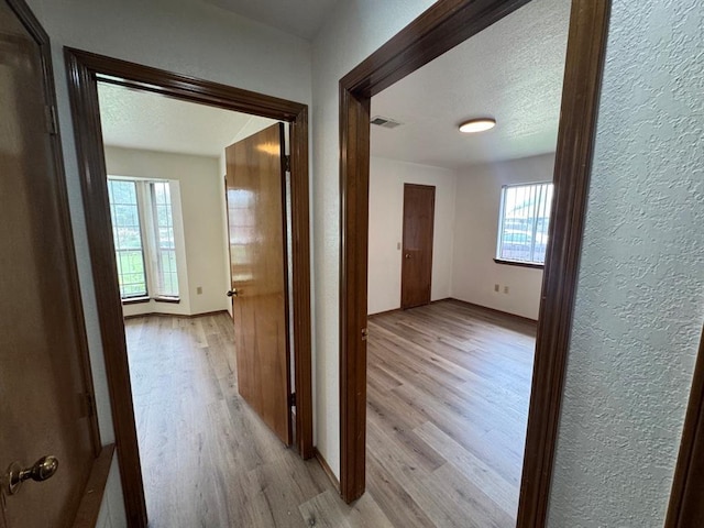 hallway with a textured ceiling, a healthy amount of sunlight, and light hardwood / wood-style flooring