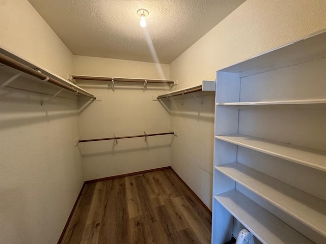 spacious closet featuring dark hardwood / wood-style flooring