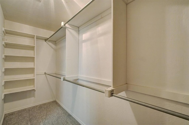 spacious closet featuring light colored carpet