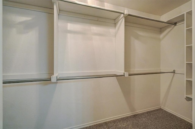 walk in closet featuring carpet floors