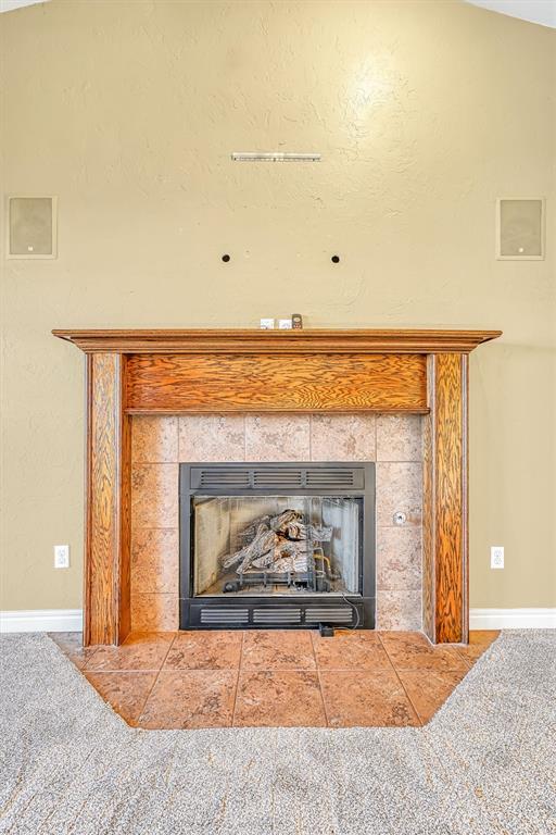 details with carpet floors and a fireplace