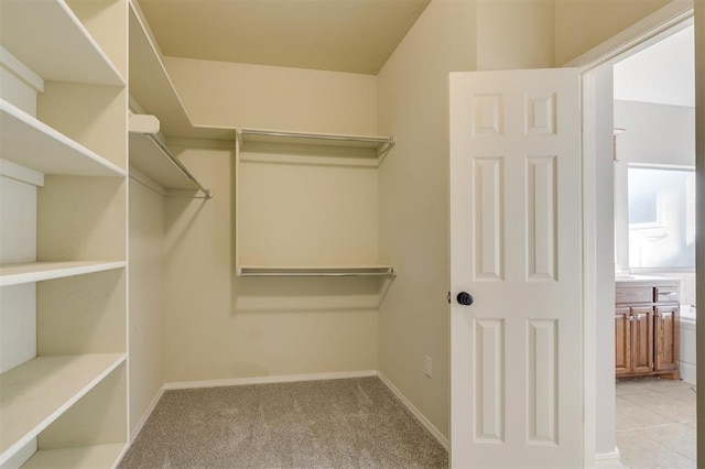 spacious closet featuring light colored carpet