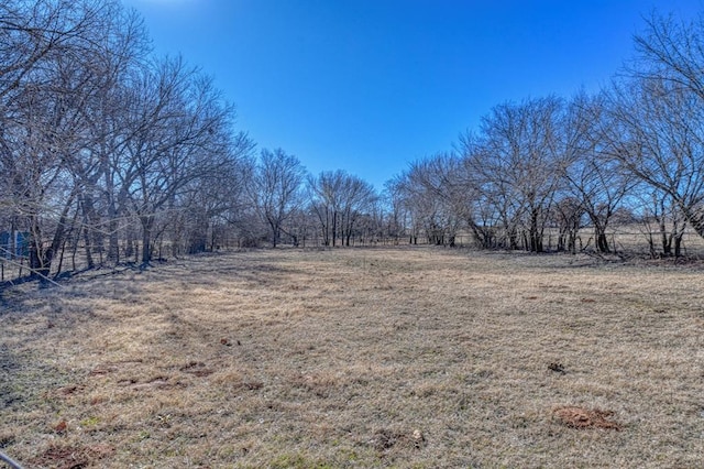 view of yard with a rural view