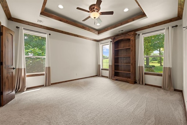 spare room with a healthy amount of sunlight, a tray ceiling, and light carpet