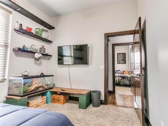 bedroom with carpet flooring