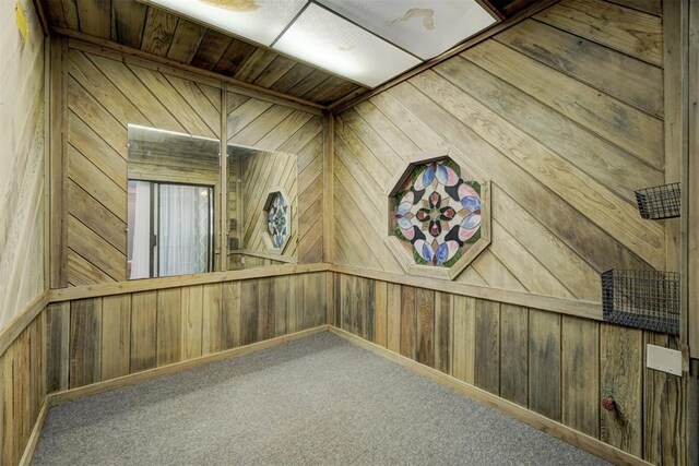 carpeted spare room featuring wooden walls